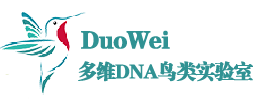 多维_多维鸟类实验室_多维DNA鸟类实验室